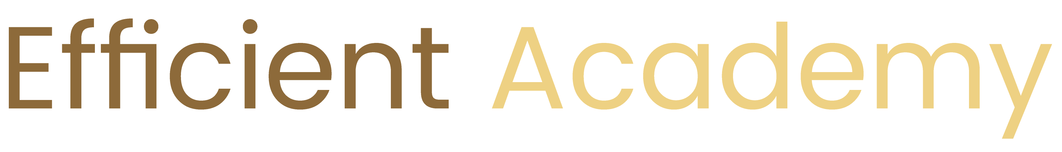Efficient Academy